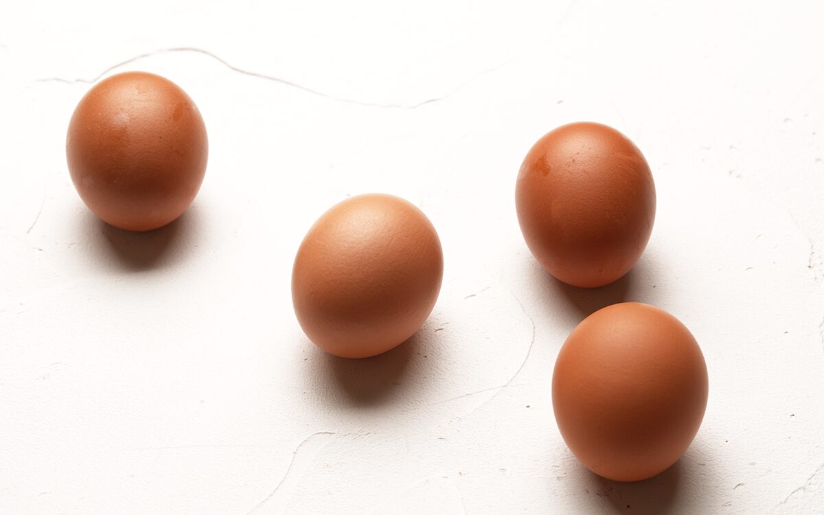 平飼い有精卵のスポンジ